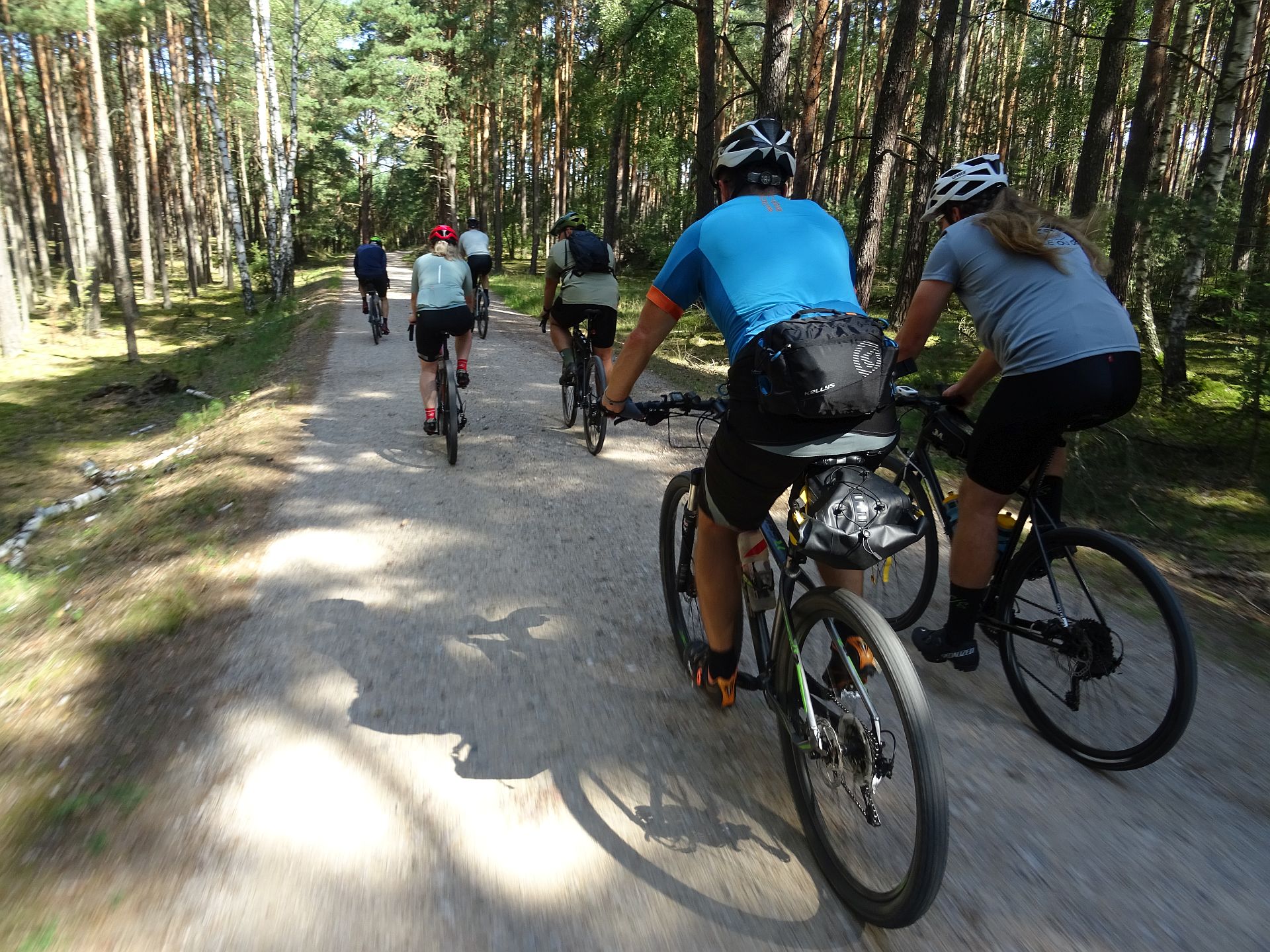 Setka przez Gostynińsko-Włocławski Park Krajobrazowy